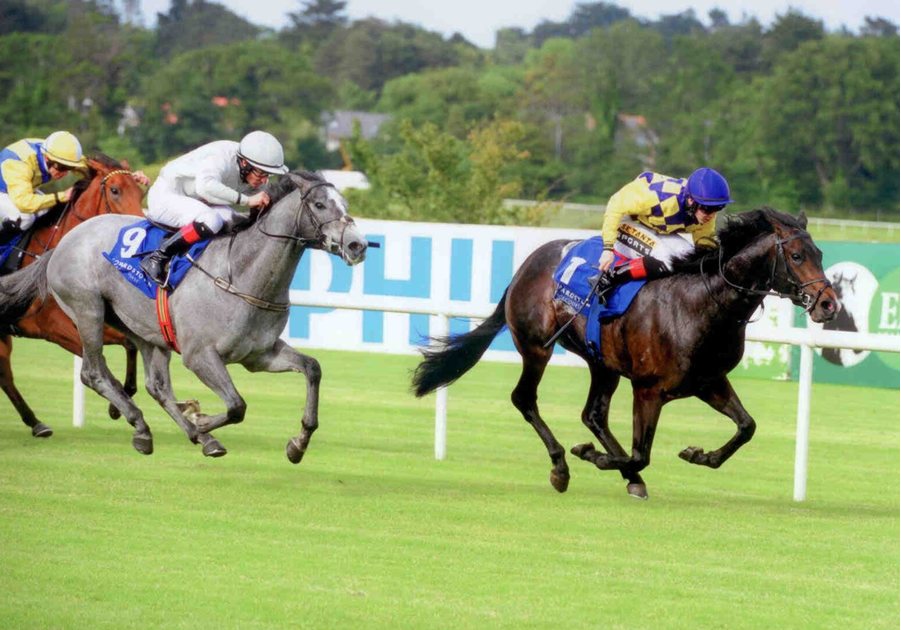 Convergence Leopardstown 6th June 2014